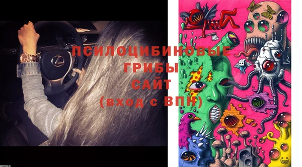 кокс Абдулино