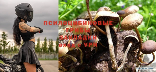 соль ск Абинск