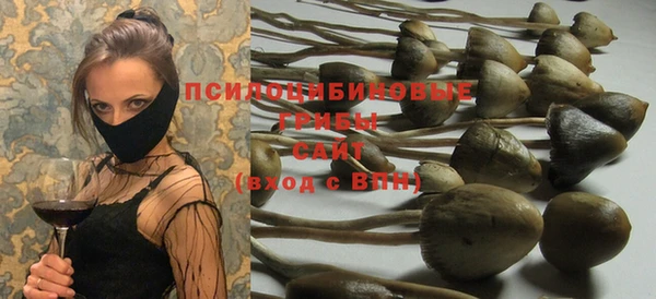 молекула духа Абаза